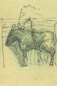 Pferde, Bleistift auf Papier, 22 x 15 cm, 1983