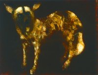 Wildhund, Öl auf Leinwand, 100 x 130 cm. 2007